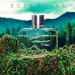 Nước Hoa Lacoste Essential EDT